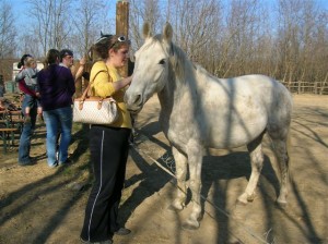 bottyan_equus_hungaria_120325_027